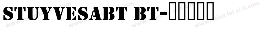 stuyvesabt bt字体转换